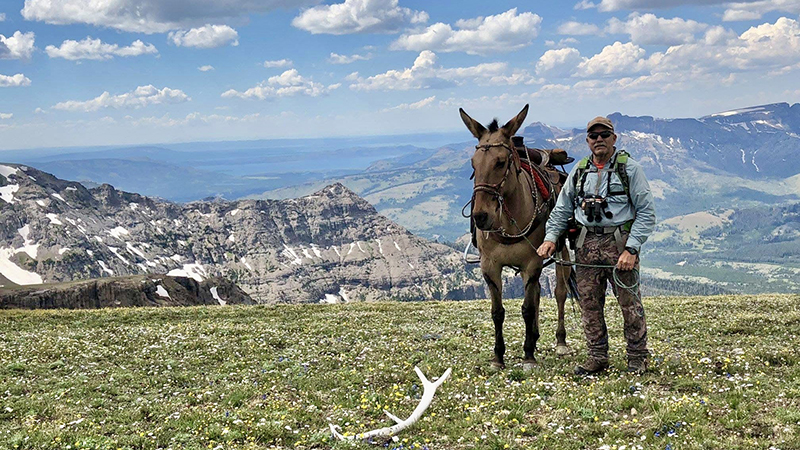 Kilpatrick with mule overlooking mountain valley