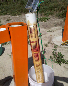 Candles placed in designated wells