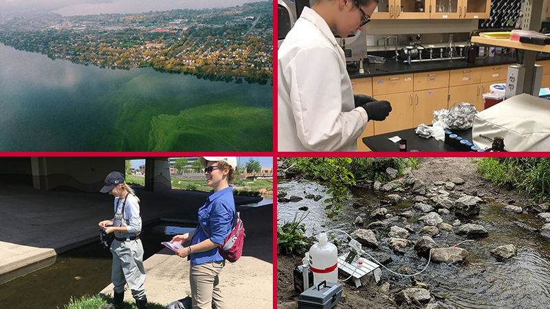 Ecosystem Stoichiometry